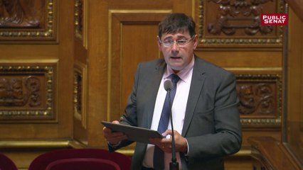 5G : « Acceptez que le Parlement ait le temps d’établir les travaux nécessaires », demande Chaize