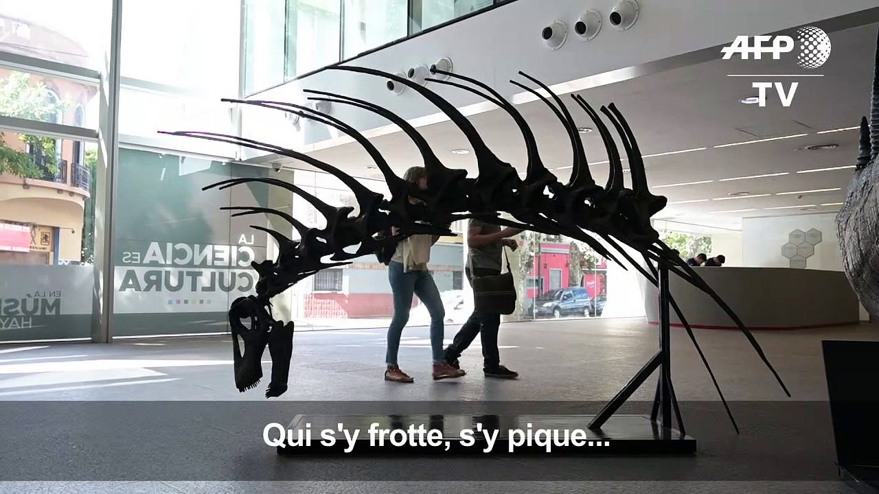 Un dinosaure se défendant avec ses épines décou...