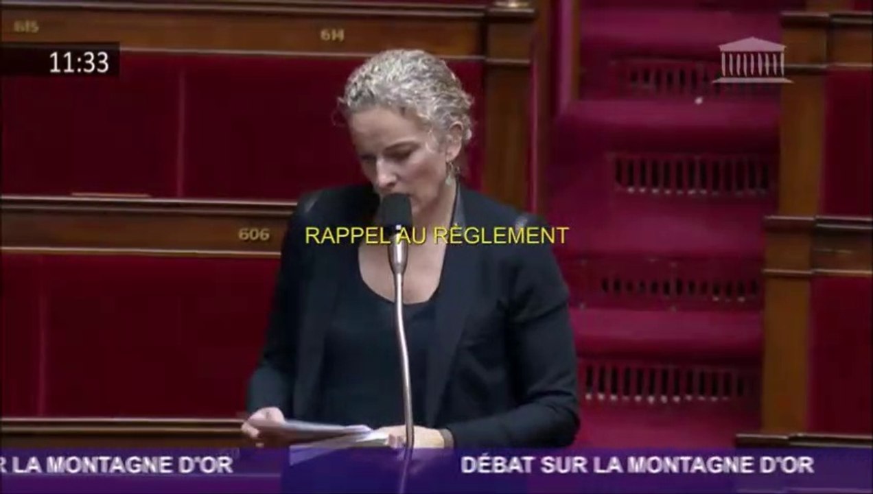Montagne d'Or : rappel au règlement de Delphine Batho