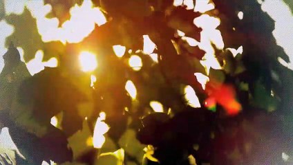 A vendre - Maison - Leysin (1854) - 7.5 pièces - 220m²