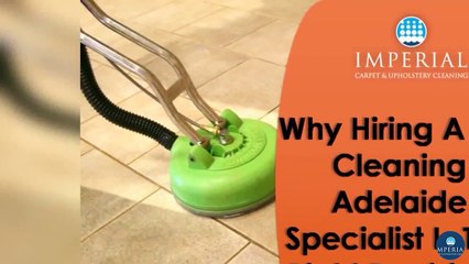 Why Hiring A Tile Cleaning Adelaide Specialist Is The Right Decision?