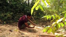 Primitive Technology: Amazing Quick Slow Loris Trap Using Nets Deep Hole Snare Trap (Works 100%)