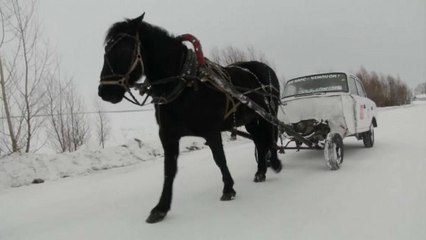 Teacher uses 'horse car' for daily commute