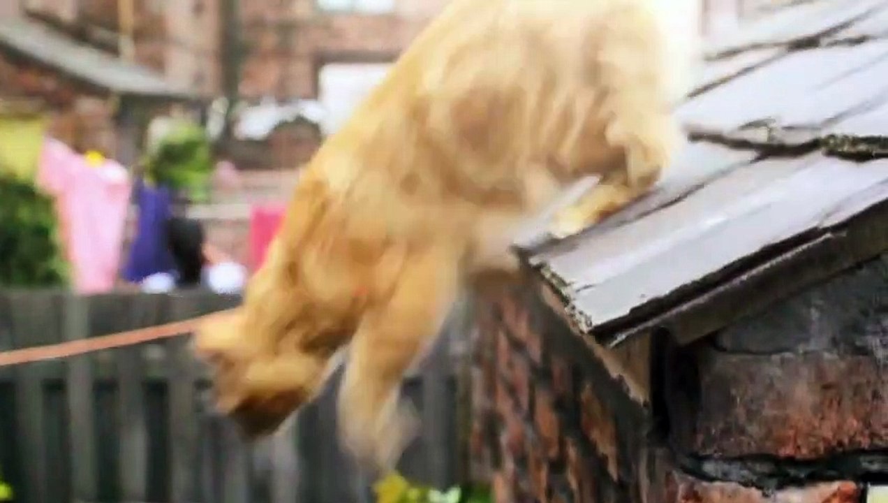 Coronation Street 8th February 2019 Part 1 Full HD