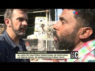 Manteros de mascotas