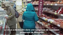 Sibérie: le virus de la peste porcine détecté dans des saucisses