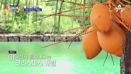 달콤한 점심 시간, 팔라우식 전주(?)비빕밥에 급-행복 (한식 짱짱♡)