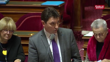 Enjeux sociaux et environnementaux :  « cette notion est risquée, extrêmement large » (Olivier Cadic)