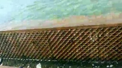 beautiful nature in Delhi