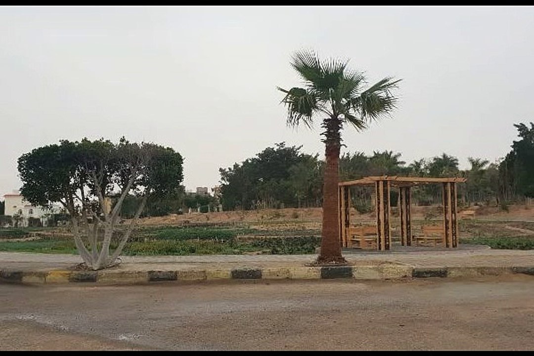 ارض للبيع في ضاحية النخيل مدينه الشروق مساحه 1540 متر