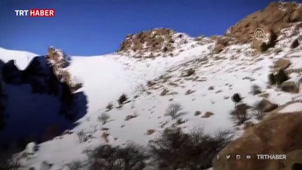 Van'da PKK'nın kış üslenmesine darbe