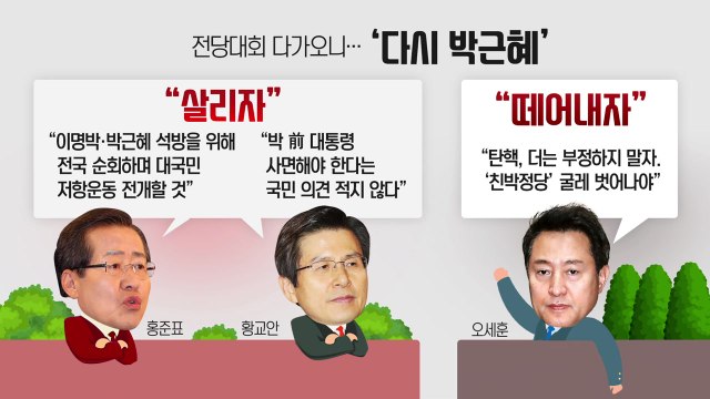 '당권 도전' 오세훈... 박근혜 넘어야 / YTN