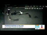 Perros atacan y matan a mujer en el Estado de México | Noticias con Zea