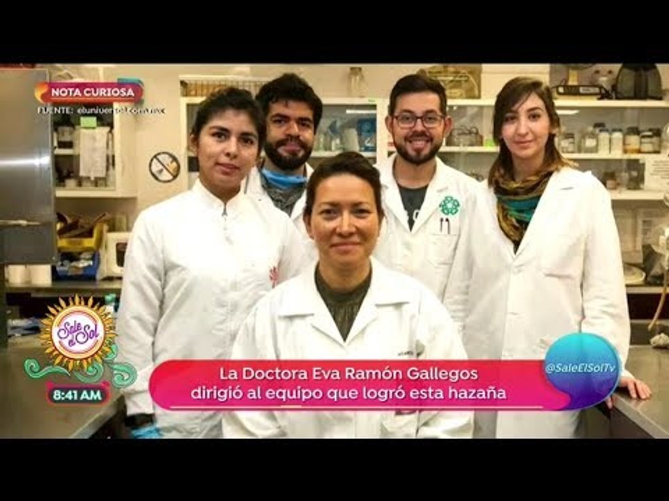 Científicos del IPN encuentran cura contra el Virus del Papiloma Humano | Sale el Sol