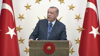 Cumhurbaşkanı Erdoğan: '(FETÖ) ABD makamlarının gerekli adımları bir an önce atmalarını bekliyoruz' - ANKARA