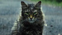 Pet Sematary with Jason Clarke - Official Trailer 2