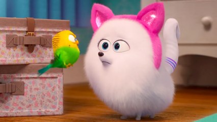 The Secret Life Of Pets 2 - The Gidget Trailer