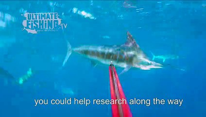 Revolutionary Way to Tag Game Fish Under Water