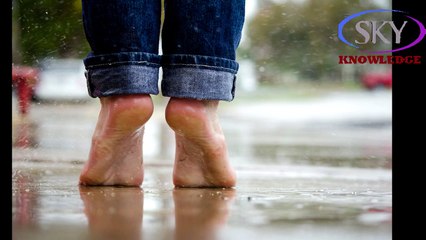 Structure and Working of Foots Information [URDU/HINDI]