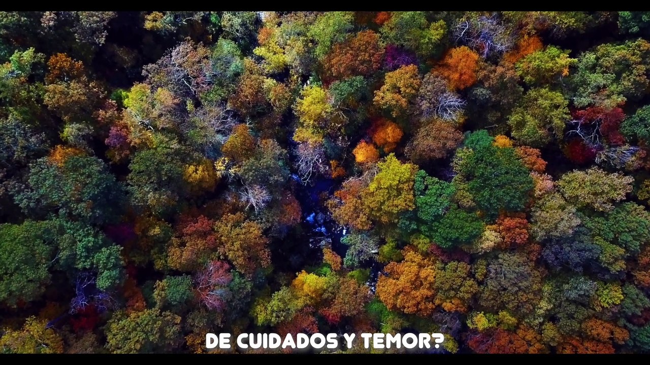 OH QUE AMIGO NOS ES CRISTO - Obed Cruz