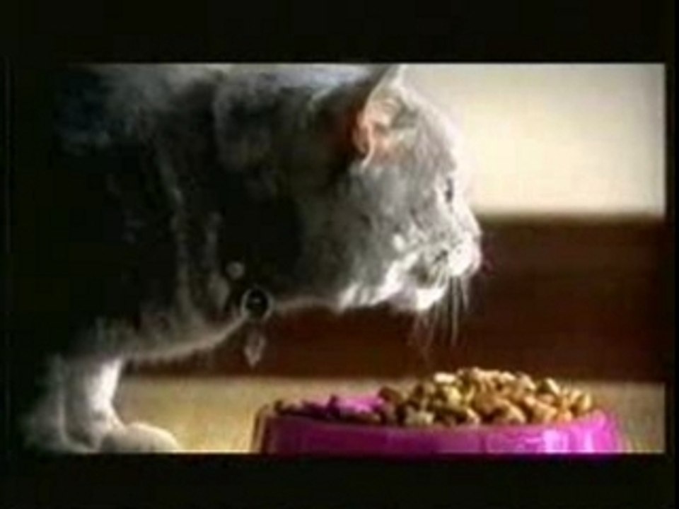 Drole pub whiskas chat vs souris