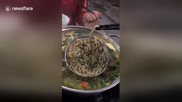 Vietnamese dish of fresh sandworms causes quite the stir