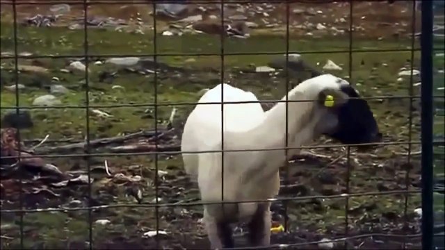 Apenas Um Video de 3 Segundos