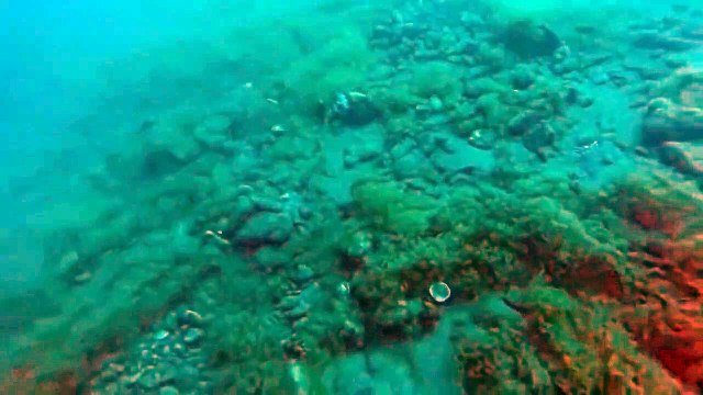 Des plongeurs sont témoins d'un tremblement de terre - Philippines