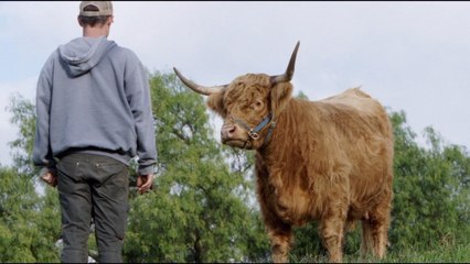 'The Biggest Little Farm' New Documentary Trailer