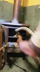 Ce qu'il a trouvé dans sa cheminée est terrifiant