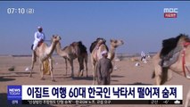 이집트 여행 60대 한국인 낙타서 떨어져 숨져