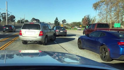 Runaway Dog on Busy California Freeway
