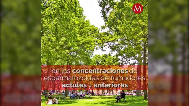 ¿Fumar mariguana produce mas espermatozoides?