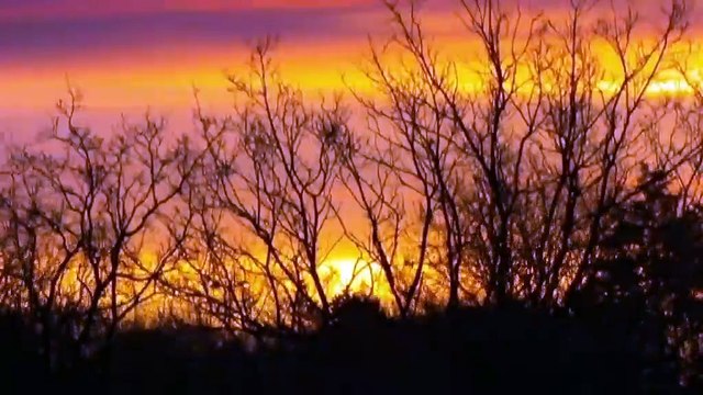 Aflevering 1328 - donderdag 7 februari 2019