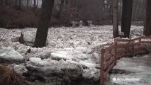 Ice jams and flooding move through western New York