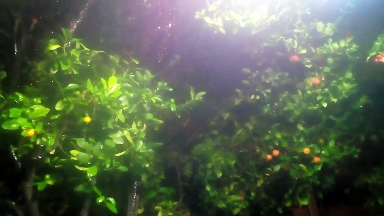 lluvia_relajante 3