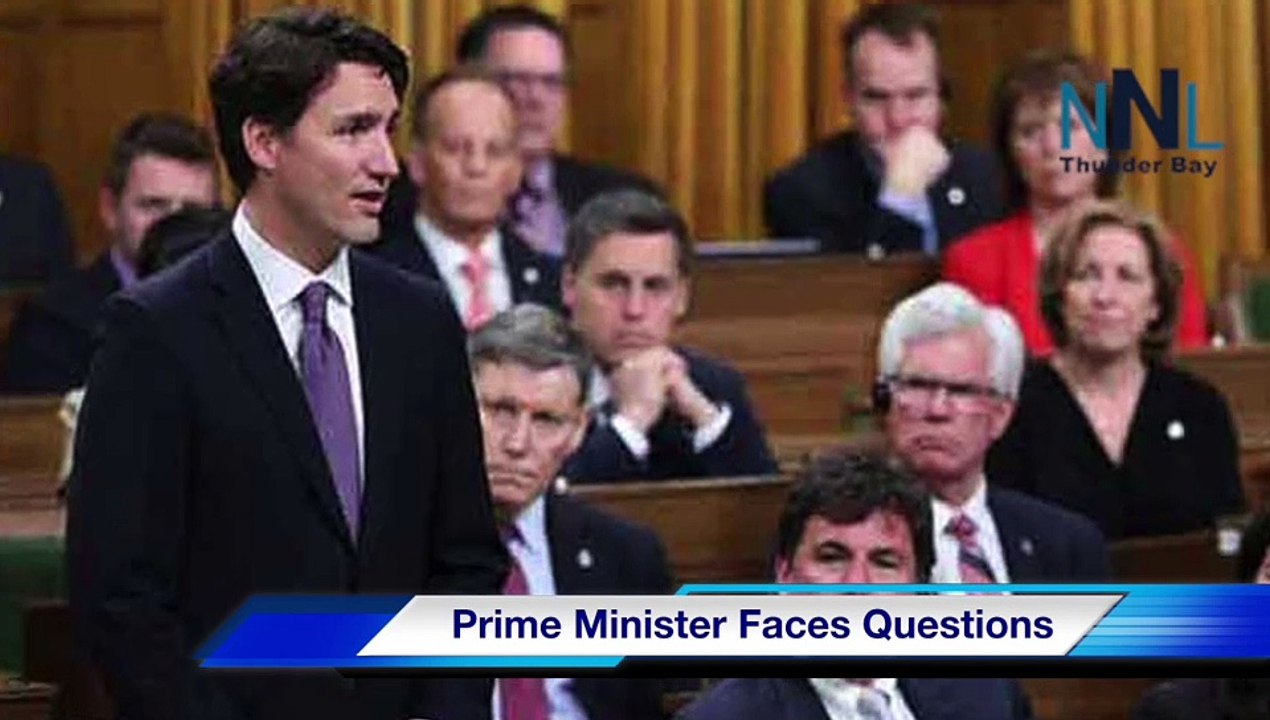 Question Period Feb 7 2019