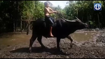 Air mata Syukur iringi pemergian Tongkol