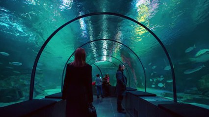 Çarpışma 9. Bölüm Kadir'i Annesi Neden Terk Etti?