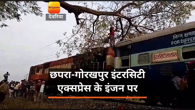 छपरा-गोरखपुर इंटरसिटी एक्सप्रेस के इंजन पर गिरा पेड़, मची अफरा-तफरी