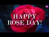 Happy Rose Day 2019: Meanings of Different Colours of Roses to Wish on the 1st Day of Valentine Week