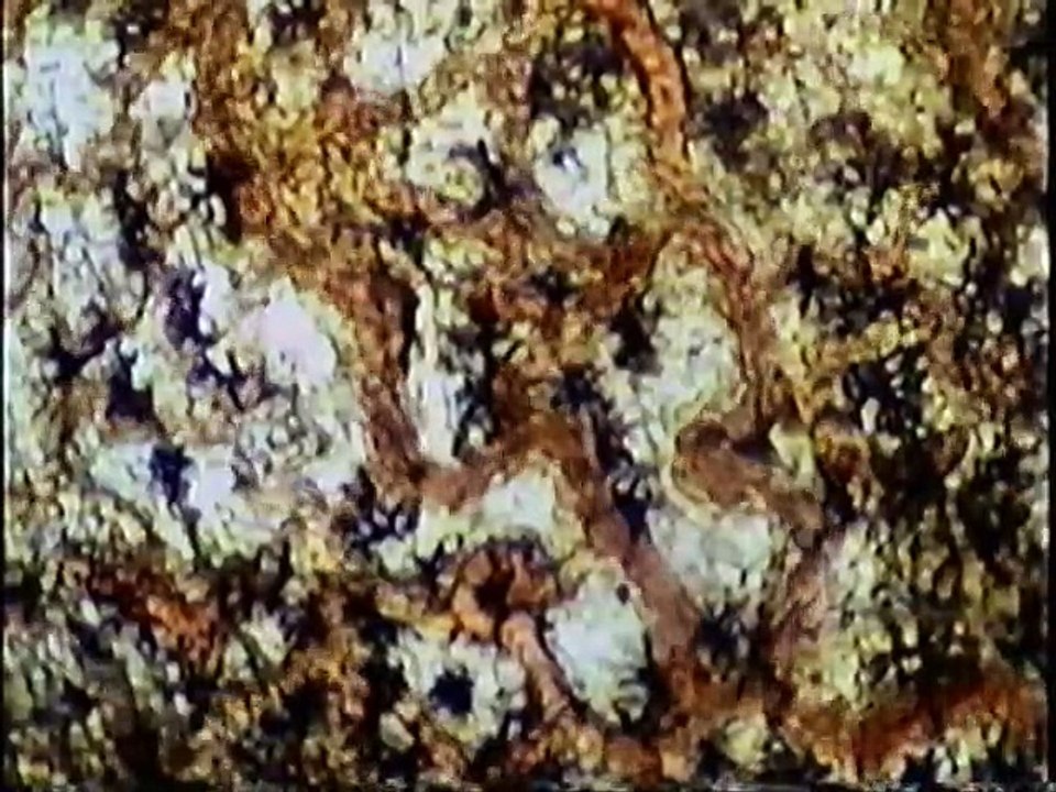 The Sixth Sense (Documentary)