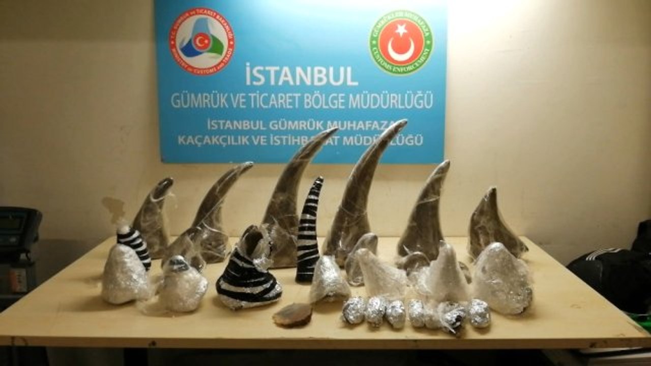 Atatürk Havalimanı'nda Gergedan Boynuzu Operasyonu