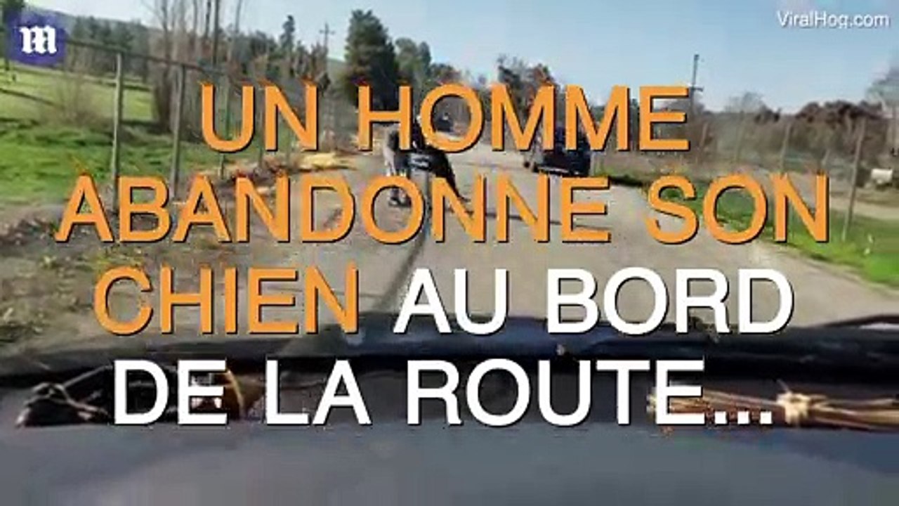Un homme abandonne son chien au bord de la route...