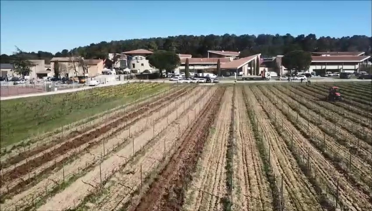 Voyage dans le temps du vin blanc