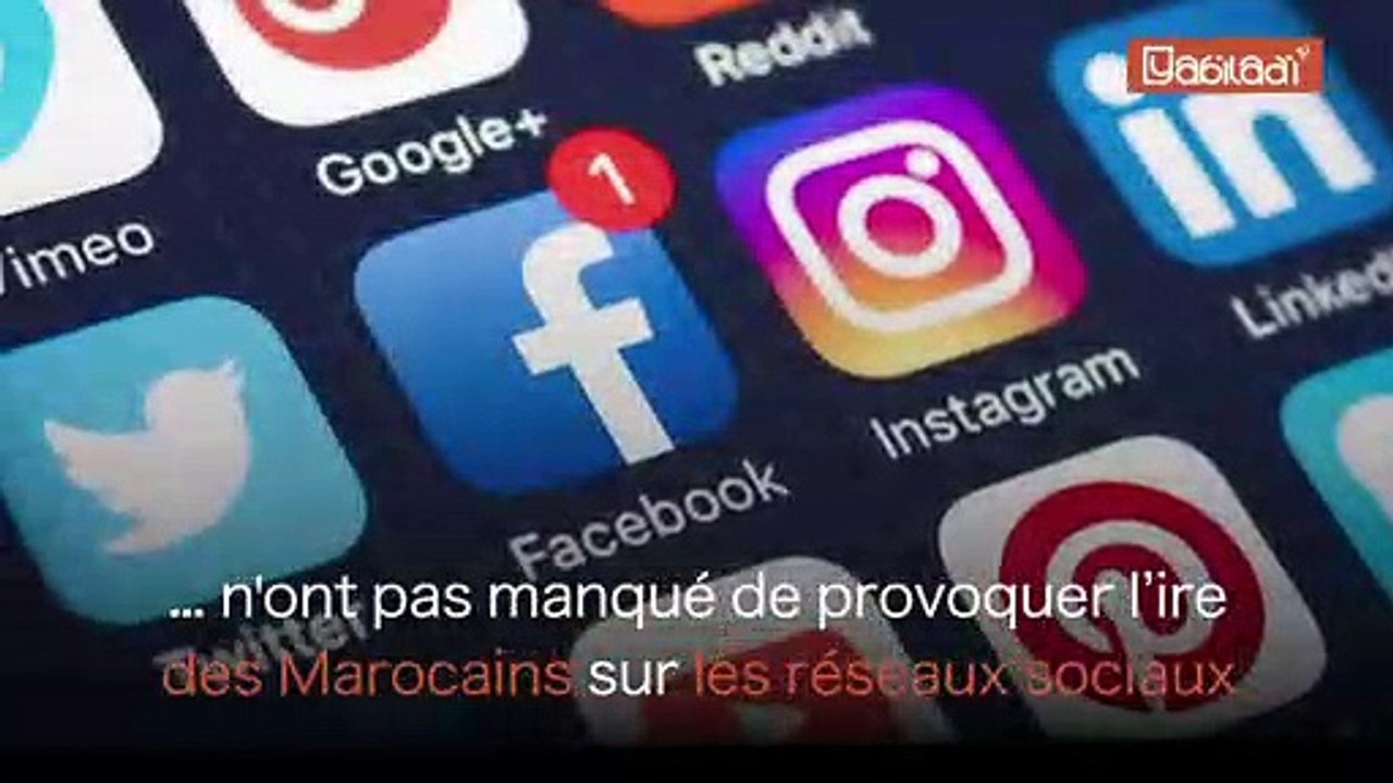 Grippe porcine : Les hésitations du ministre de la Santé critiquées par les Marocains