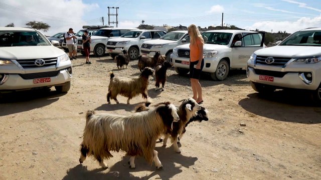 Wandern im Oman: Der Klippe entlang auf dem Balcony Walk W6
