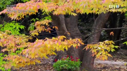 특집 다큐멘터리- 류승룡의 백두대간 문화유산 답사기 - 류승룡의 문화유산 답사기_#003