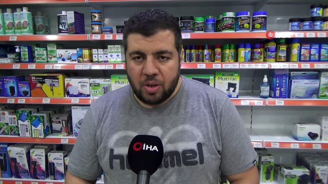 Petshop sahipleri: 'İnternetten yapılan hayvan satışları, kontrolsüz satışları arttırır'