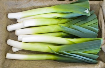 Les Experts Jardin :  Comment éviter les vers dans les poireaux